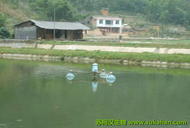 池塘水質(zhì)管理